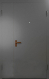 Фото двери «Техническая дверь №6 полуторная» в Саратову